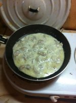 IMG_2386.jpg IMG_2386.jpg