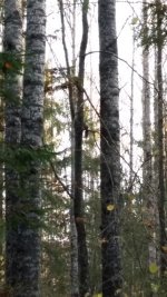 20151017_095623.jpg 20151017_095623.jpg