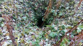 20151017_113345.jpg 20151017_113345.jpg
