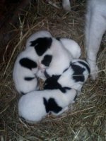 IMG0068C.jpg IMG0068C.jpg