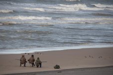 Hunting_Godwits_and_Oystercatchers_3.jpg