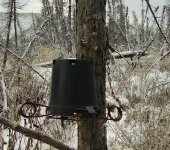 Nov1 2010 new marten bucket.jpg