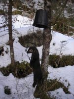 11-18-2006Trapping004.jpg