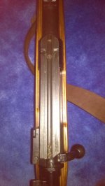 WP_20160107_003.jpg WP_20160107_003.jpg