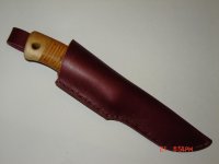 DSC00016.jpg