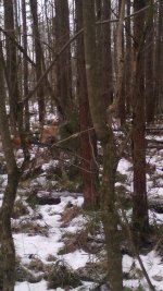 IMG_20160201_115028.jpg IMG_20160201_115028.jpg