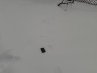 2016-02-13 07-27-44.jpg 2016-02-13 07-27-44.jpg