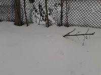 2016-02-13 07-28-06.jpg 2016-02-13 07-28-06.jpg