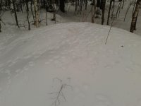 2016-02-13 11-04-44.jpg 2016-02-13 11-04-44.jpg