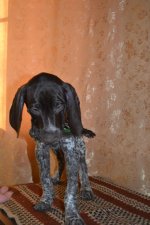DSC_0631.jpg DSC_0631.jpg