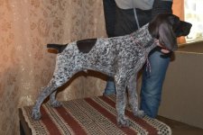 DSC_0651.jpg DSC_0651.jpg