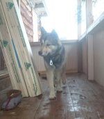 IMG-20160306-WA0005.jpg IMG-20160306-WA0005.jpg