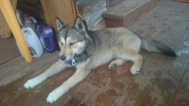 IMG-20160306-WA0003.jpg IMG-20160306-WA0003.jpg