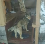 IMG-20160306-WA0004.jpg IMG-20160306-WA0004.jpg