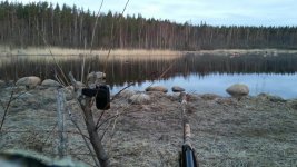 20160424_050248.jpg 20160424_050248.jpg