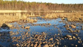 20160424_064909.jpg 20160424_064909.jpg