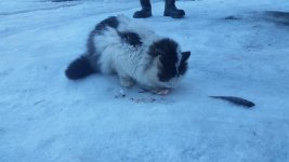 20160313_175438.jpg 20160313_175438.jpg