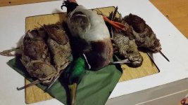 20160409_211257.jpg 20160409_211257.jpg