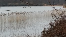 20160410_070245.jpg 20160410_070245.jpg