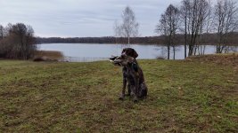 20160410_093707.jpg 20160410_093707.jpg