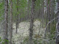 15.05.2016г. -4.jpg