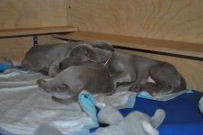 DSC_0004.jpg DSC_0004.jpg