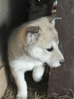 IMG-20160612-WA0012.jpg IMG-20160612-WA0012.jpg