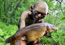 gollum-carp.jpg