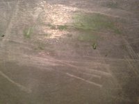 IMG_5162.jpg IMG_5162.jpg