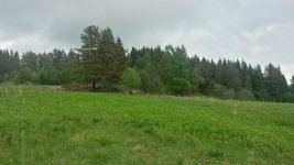 20160526_170957_Richtone(HDR).jpg 20160526_170957_Richtone(HDR).jpg