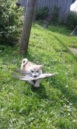 20160731_141418.jpg 20160731_141418.jpg