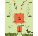 Pigeon_shooting_pattern_over_oilseed_rape.jpg