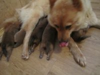 2016-08-22 15-32-46.jpg 2016-08-22 15-32-46.jpg
