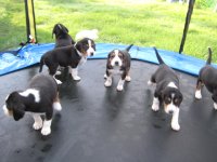 IMG_3190.JPG IMG_3190.JPG