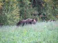 IMG_0627.jpg