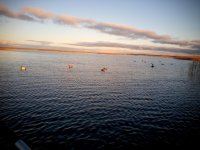 IMG_20161015_170741.jpg IMG_20161015_170741.jpg