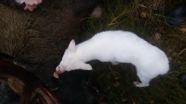 20161015_115359.jpg 20161015_115359.jpg
