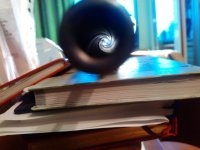17061562.jpg 17061562.jpg