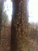 IMG_4919.jpg