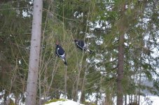 DSC_0032.jpg DSC_0032.jpg