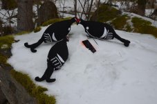 DSC_0034.jpg DSC_0034.jpg