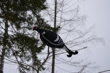 DSC_0029.jpg DSC_0029.jpg