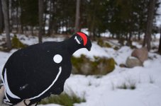 DSC_0039.jpg DSC_0039.jpg