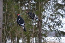 DSC_0033.jpg DSC_0033.jpg