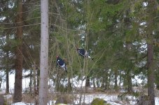 DSC_0031.jpg DSC_0031.jpg