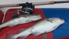 20170316_174843-640x360.jpg 20170316_174843-640x360.jpg