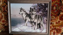 20170330_093555.jpg 20170330_093555.jpg
