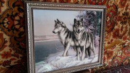 20170330_093624.jpg 20170330_093624.jpg