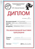диплом.jpg диплом.jpg