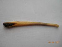 DSCN0289.JPG